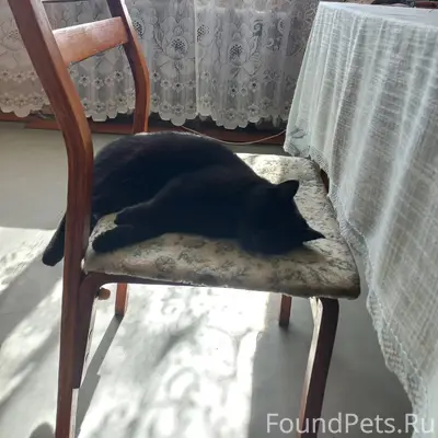 Друзья, у меня 24 января в...