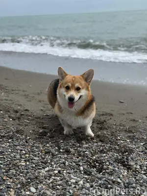 ‼️Уважаемые жители Сочи! Очень...