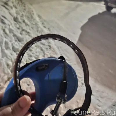 #Бгдпомоги Здравствуйте,убежал...