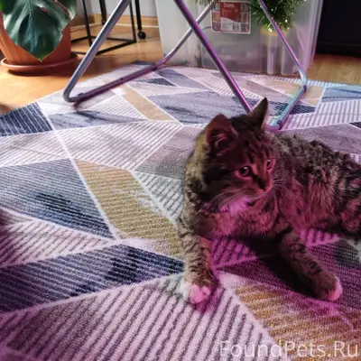 Здравствуйте. Ищу нынешних или...