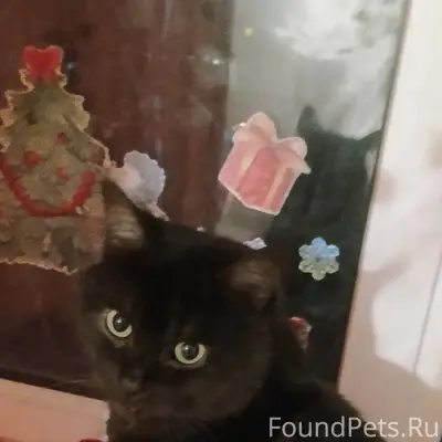 Доброго времени суток.❗❗❗ Проп...