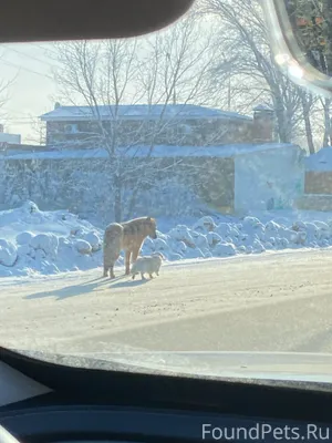 Тольятти, после Парк Хауса пов...
