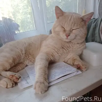 Обращаюсь ко всем не равнодушн...