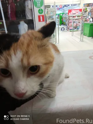 Здравствуйте. Разместите пожал...