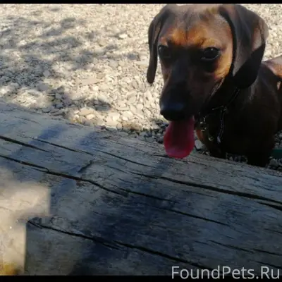 Помогите пожалуйста найти нашу...