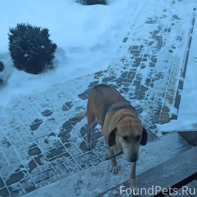 В районе с. Мухоудеровка найде...