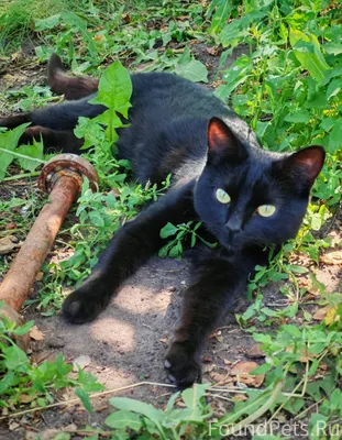 Ул. Советская между Северной и...