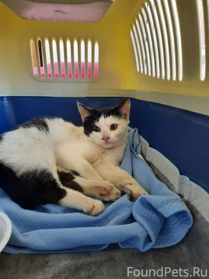 🆘️‼️Тула‼️ Соседи‼🆘️Пожалуйста...