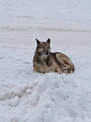 На улице Мичуринцев, Фестиваль...