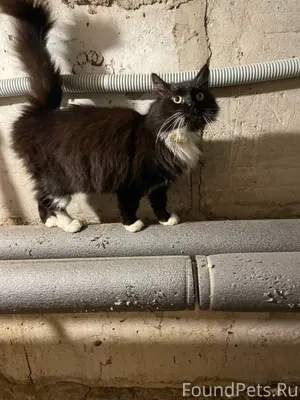 Здравствуйте всем. Уже писала ...