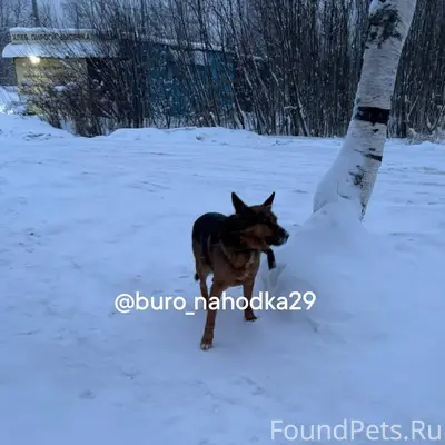 Сегодня утром в Маймаксе, заше...