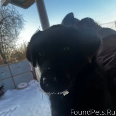 На улице Ломоносова (л. 2) пот...