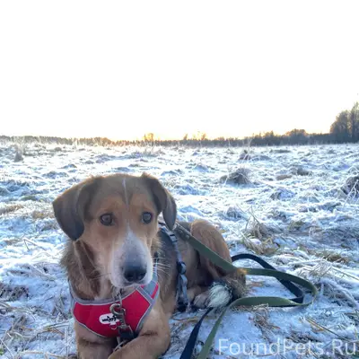 🔴Внимание 🔴 Выборг-Кравцово-Яш...