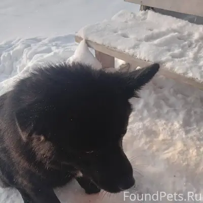 Доброго дня, в пятницу пришел ...