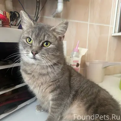 Кто потерял такую красоту?😍 Не...