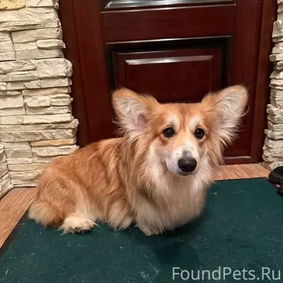 В районе Красного ткача потеря...