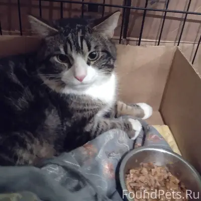 Г. Егорьевск, мкрн 1-4 ‼️...