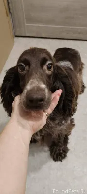 ❗Друзья и Гости моей страницы❗...