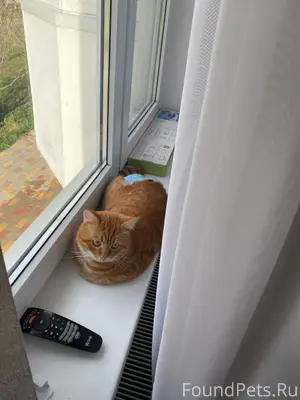 Здравствуйте, прошу администра...