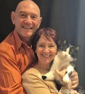 Кот Филу — новая звезда соцсет...