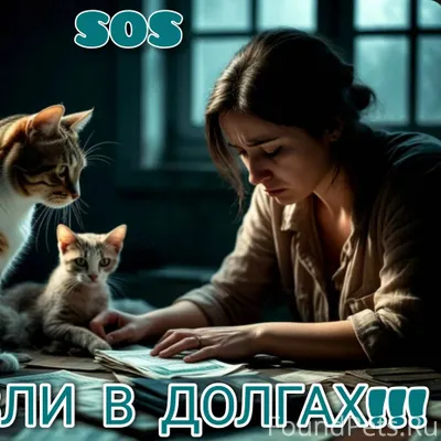 🚫🚫🚫УТОПИЯ! ДОЛГ НА ГРУППЕ 5176...