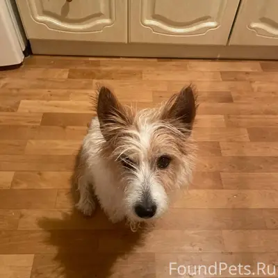 Дорогие жители города Чехов! Н...