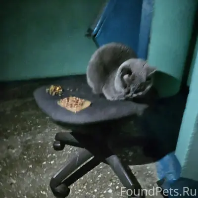 Коломна. В подъезде многоэтажк...