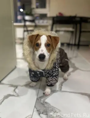 Больше года прошло с тех пор.....