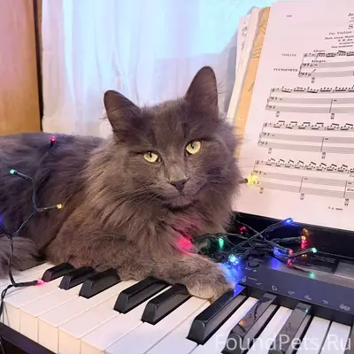 Раменское, микрорайон Холодово...