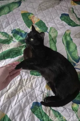 Всем привет! Все банально: у н...