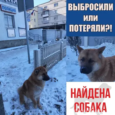 Волгоград. Область. Страна К о...