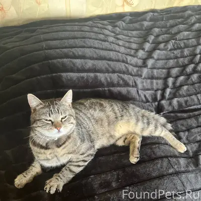 Всем привет! Не по теме, но….....