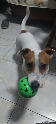 Доброе утро. Разместите пожалу...