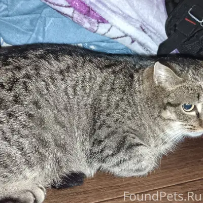 В 3 подъезде по Солнечной 16а....