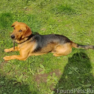 Псковская область,поселок Слав...