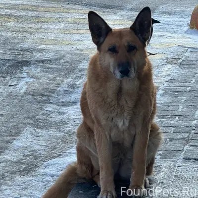 Магазин ДА, Наро-фоминск , Куб...