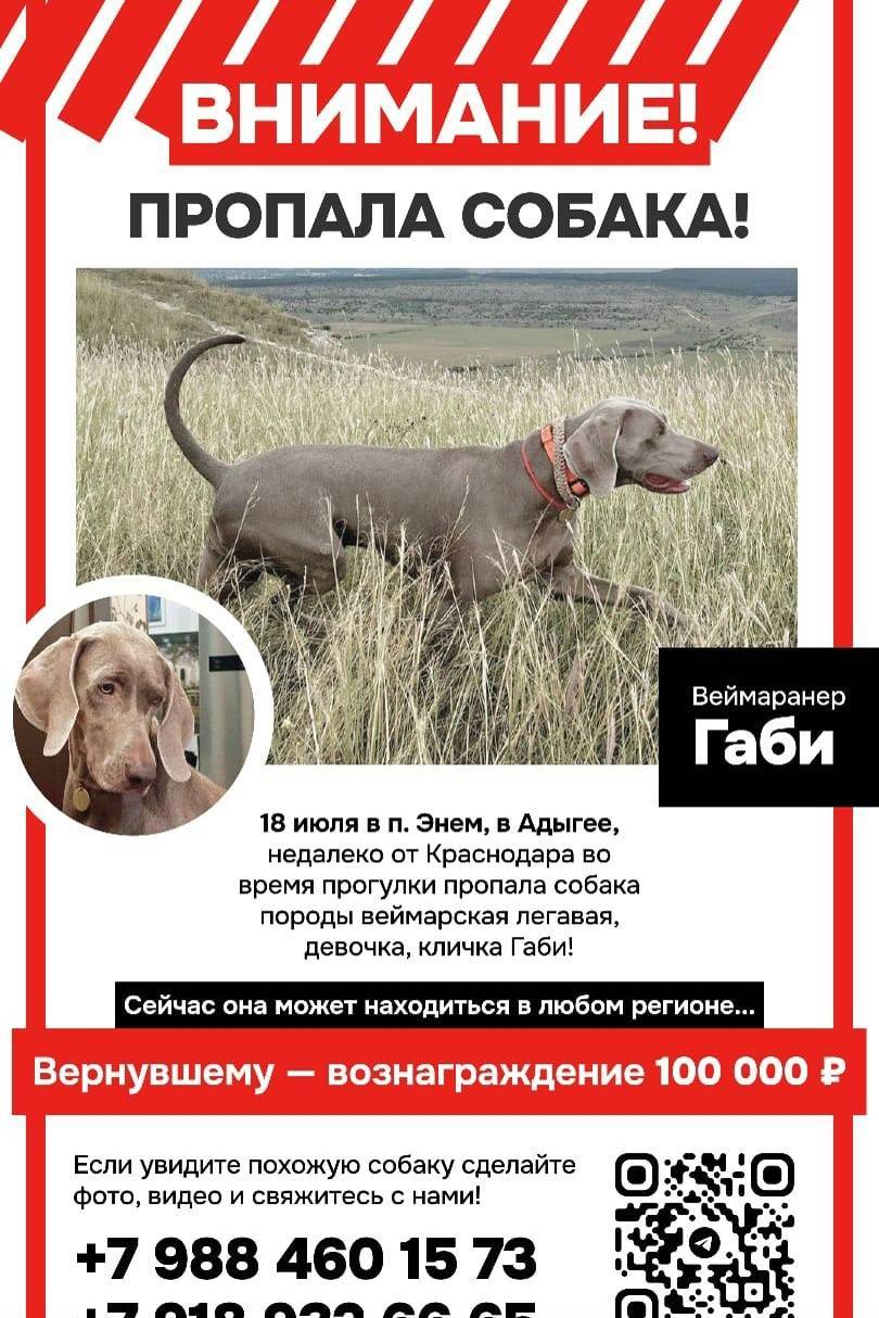 Внимание!!! Розыск!!! По всем ...