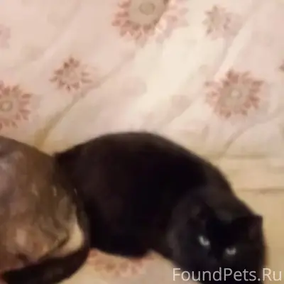 !!! ПОМОГИТЕ НАЙТИ !!! Оренбур...