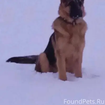 ❗️❗️Очень нужна ваша помощь.❗️...