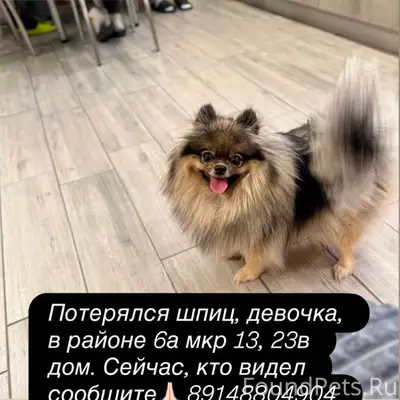 Ангарск 26.01.2026 в 13...