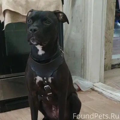 Добрый вечер Черемховцы помоги...