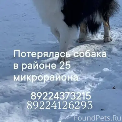 26 января, в 12.30,  во...