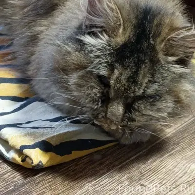 Кратово, Раменский район. Была...