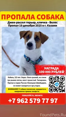 С 19 декабря продолжаются поис...