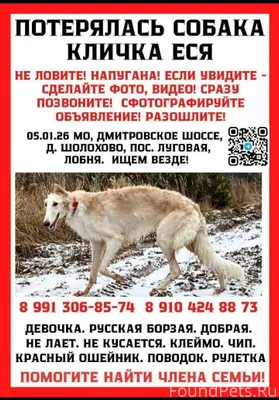 🆘 ВНИМАНИЕ, ЖИТЕЛИ ДРУГИХ ГОРО...