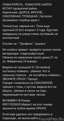 Пропал Кот! Адлерский район По...