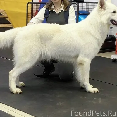 Есть в нашем доме одна интерес...