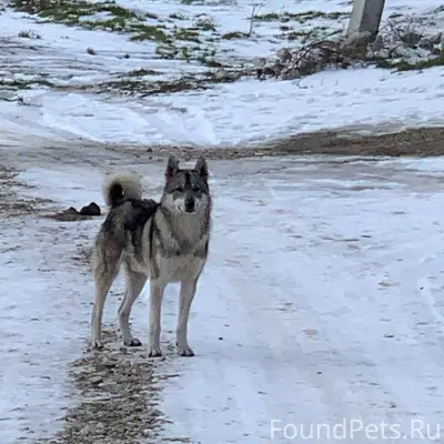 Четвертый день в пгт. Коктебел...