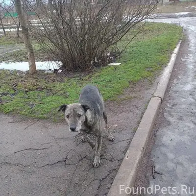 ДНР,Снежное.У нас в городе...
