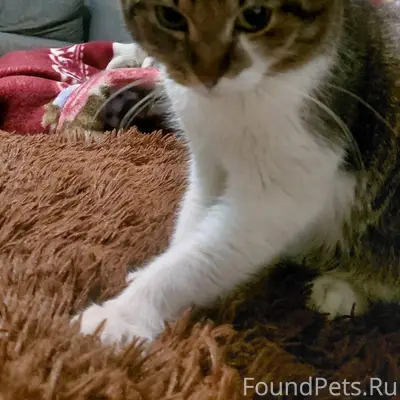 #zoo_Заволжье ❗️ #zoo_Потеряшк...